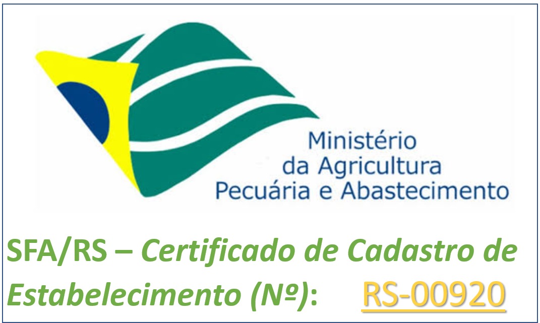 Relatório Mondial Lab